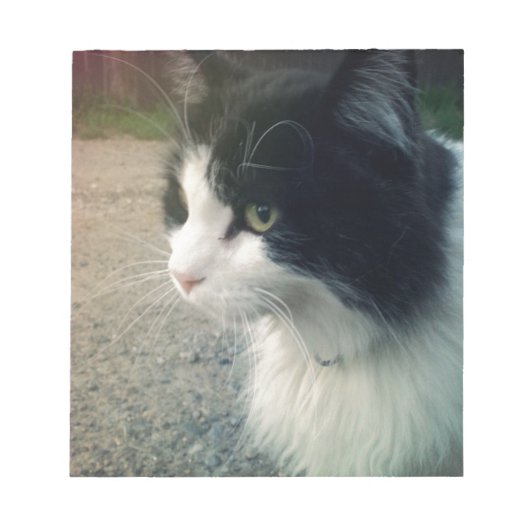 タキシード猫 ノートパッド (正面)