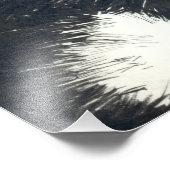 タキシード猫 フォトプリント            (角)