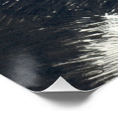 タキシード猫 ポスター (コーナー)