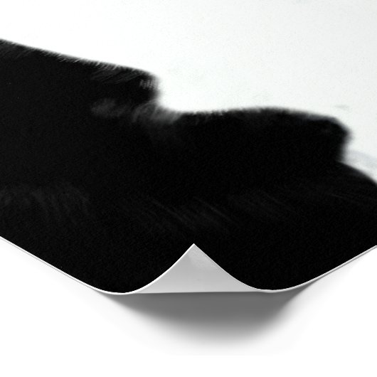 タキシード猫 ポスター (角)