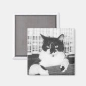 タキシード猫 マグネット (正面/裏面)