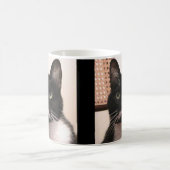 タキシード猫 モーフィングマグカップ (中央)