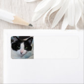 タキシード猫 ラベル (インサイチュ)