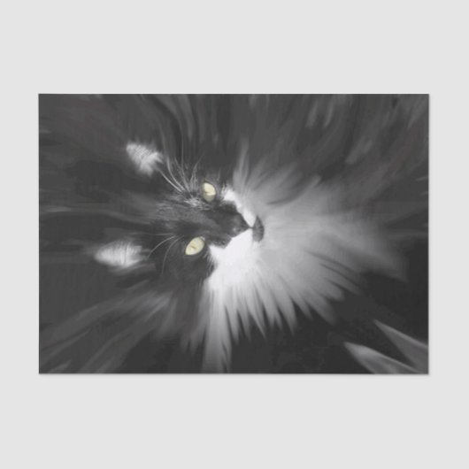 タキシード猫 薄葉紙 (正面)