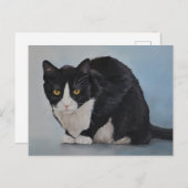 タキシード白黒国産ショートヘア猫はがき ポストカード (正面/裏面)