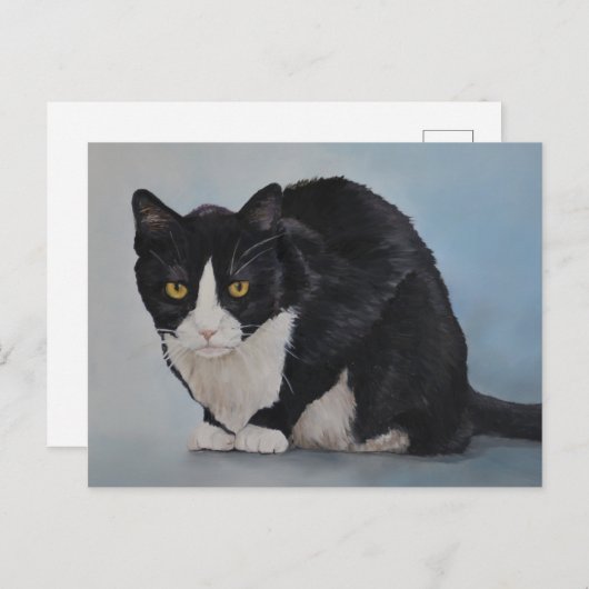 タキシード白黒国産ショートヘア猫はがき ポストカード (正面/裏面)