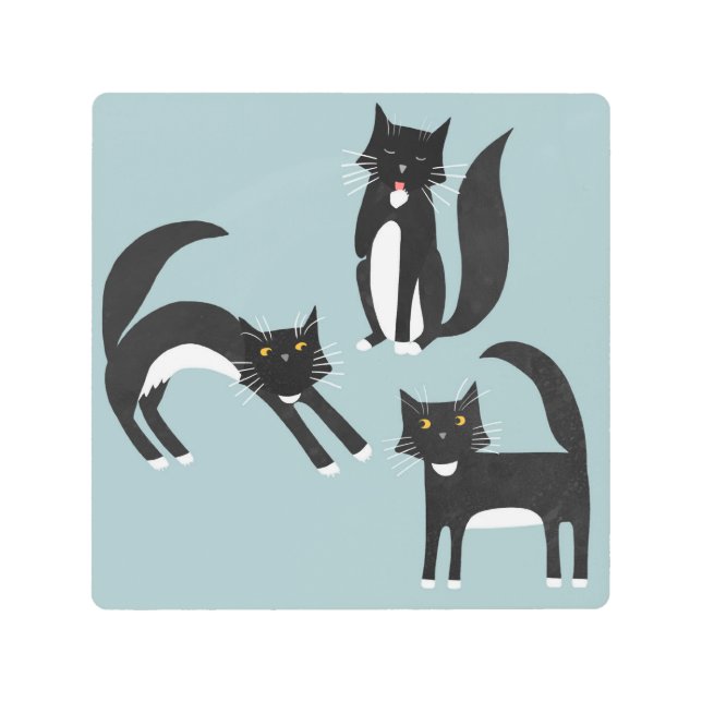 タキシード白黒猫 メタルプリント (正面)