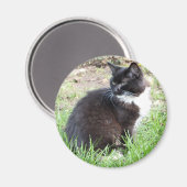 タキシード磁石 マグネット (正面/裏面)