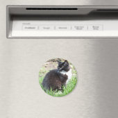 タキシード磁石 マグネット (インサイチュ (食洗機))