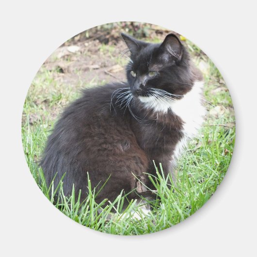 タキシード磁石 マグネット (正面)