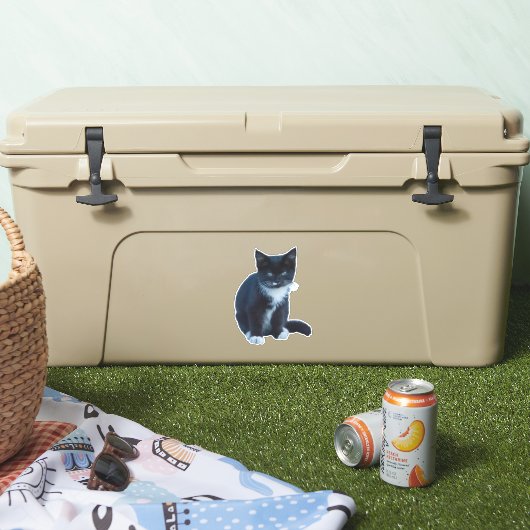 タキシード黒と白の子猫が座って見て シール (クーラー)