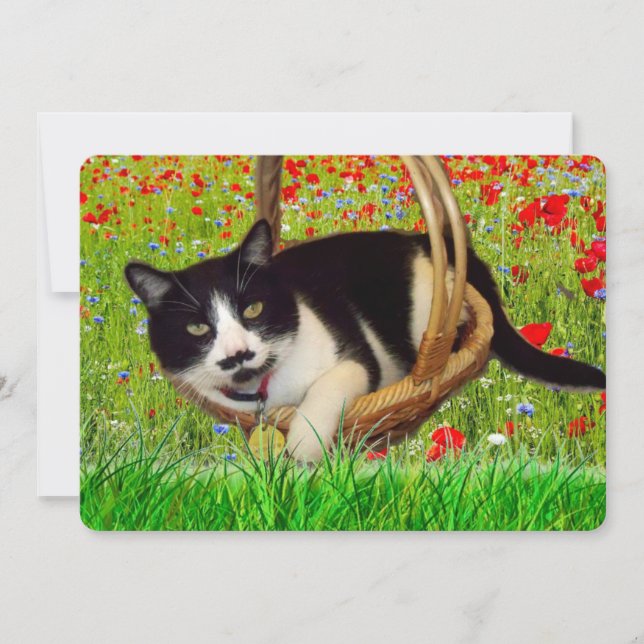 タキシード黒猫のカード (正面)