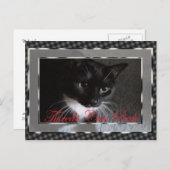 タキシード・キャッツ・ルール ポストカード (正面/裏面)