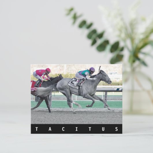 タキトゥスがウッド記念ステークスを制す ポストカード (スタンド正面)