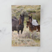 タキニとその家族のグリーティングカード サンキューカード (内部)