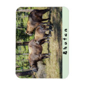 タキンの家族、ブータンの国獣、アジア マグネット (縦)