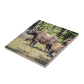 タキン、ブータンの国獣 タイル (側面)