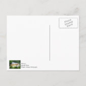 タクォーメノン滝 上部 ポストカード (裏面)