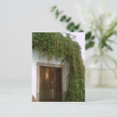 タクスコの建物の正面とつる植物 ポストカード (スタンド正面)