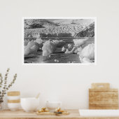 タク氷河アラスカ1914 ポスター (キッチン)