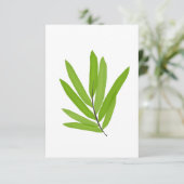 タケの葉 サンキューカード (スタンド正面)