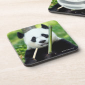 タケを握っているジャイアントパンダ コースター (左側)