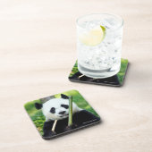 タケを握っているジャイアントパンダ コースター (右側)