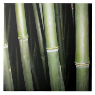 タケデザインの壁のタイル タイル