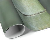 タケノコ ラッピングペーパー (ロールコーナー)