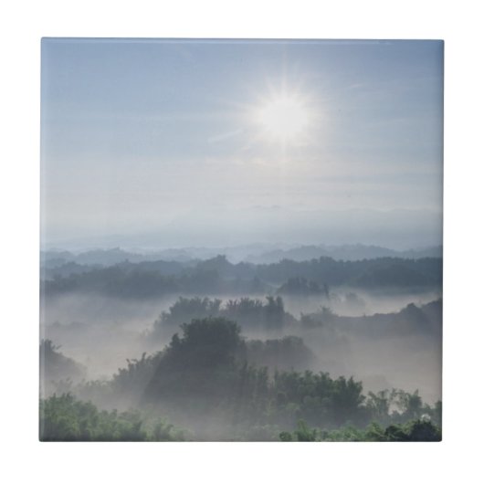 タケ木の明るい日光|台湾 タイル (正面)