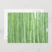 タケ果樹園 ポストカード (正面/裏面)