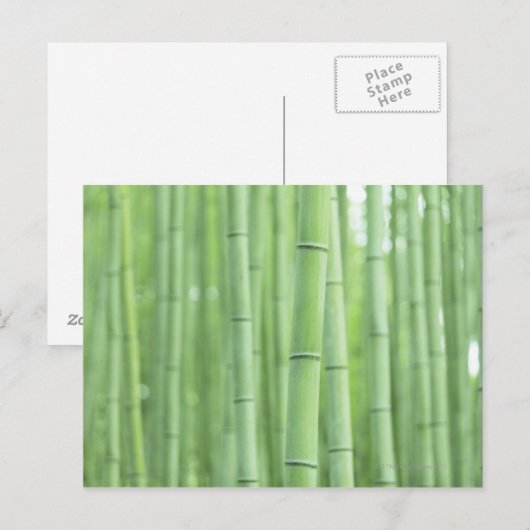 タケ果樹園 ポストカード (正面/裏面)