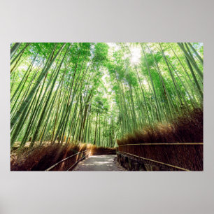 タケ果樹園 Arashiyama、京都、日本 ポスター