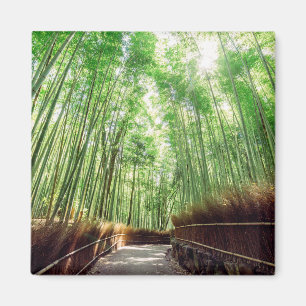 タケ果樹園 Arashiyama、京都、日本 マグネット