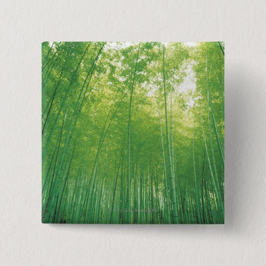 タケ森林2 缶バッジ (正面)