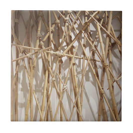 タケ タイル (正面)