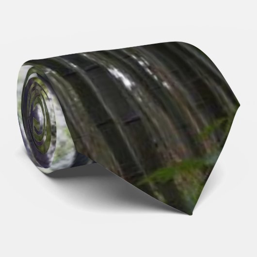 タケ ネクタイ (ロール)