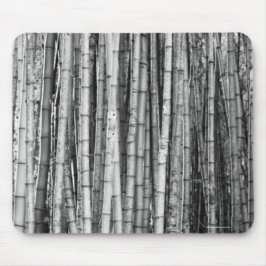 タケ マウスパッド (正面)