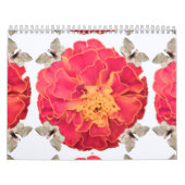 タゲテ・バイ・リノ カレンダー (カバー)