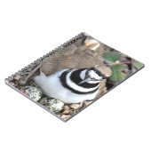 タゲリの鳥と卵 (私の写真) ノートブック (左側)