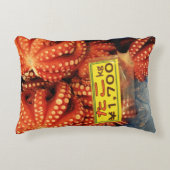 タコたこたこ築地市場 アクセントクッション (正面)