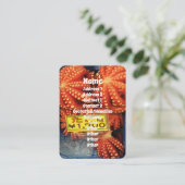 タコたこたこ築地市場 名刺 (スタンド正面)