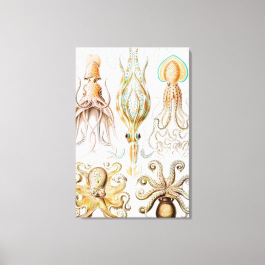 タコのイカ,ガモチョニアby Ernst Haeckel キャンバスプリント (正面)