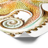 タコのイカ，ガモチョニアby Ernst Haeckel ポスター (角)