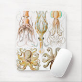 タコのイカ，ガモチョニアby Ernst Haeckel マウスパッド (マウス)