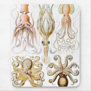 タコのイカ，ガモチョニアby Ernst Haeckel マウスパッド