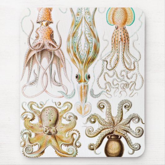 タコのイカ，ガモチョニアby Ernst Haeckel マウスパッド (正面)