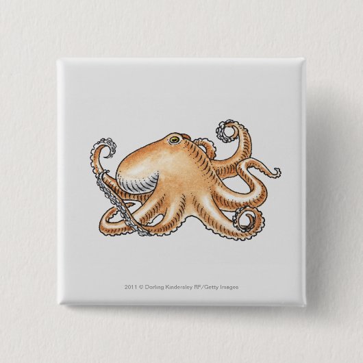 タコのイラストレーション 缶バッジ (正面)