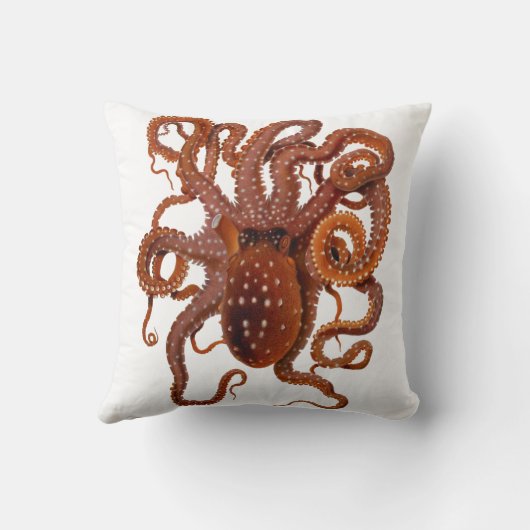 タコのカンガルー属の大西洋の白によって斑点を付けられるタコ クッション (裏面)