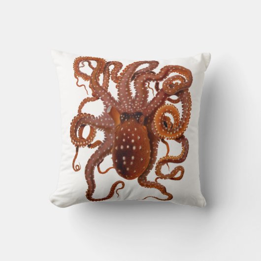タコのカンガルー属の大西洋の白によって斑点を付けられるタコ クッション (正面)